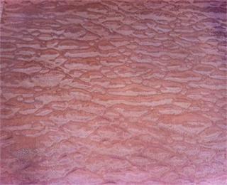 木皮貼面板怎樣選擇最放心