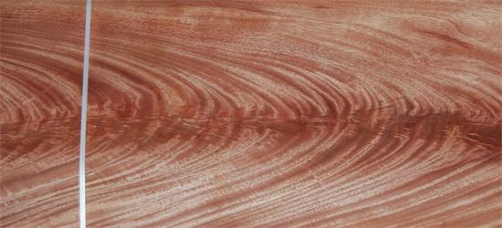 桃花芯樹(shù)杈