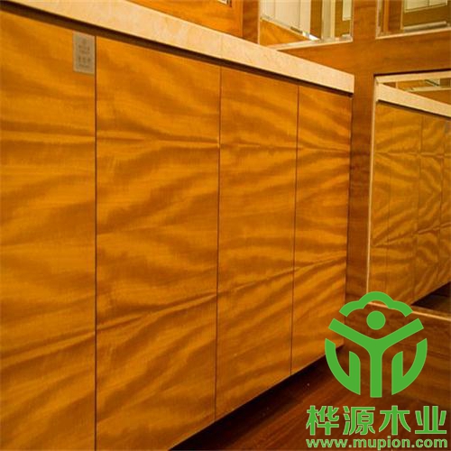 金影效果圖 金影效果圖