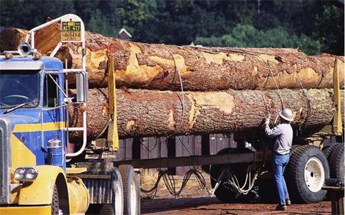 木材進口 木材進口