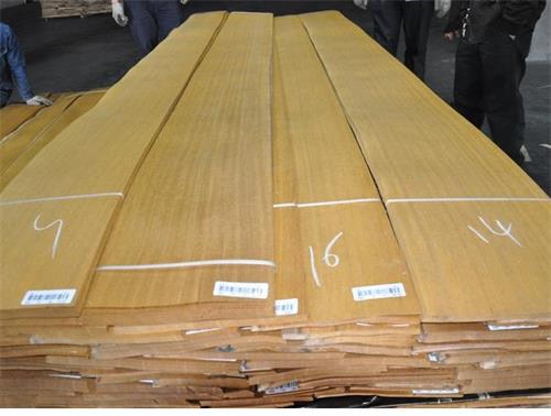 菠蘿格皮 菠蘿格皮